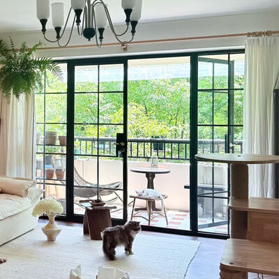 Buen precio Puerta de aleación de aluminio de estilo francés Material de puerta y ventana de aluminio para casa con soporte técnico profesional en línea